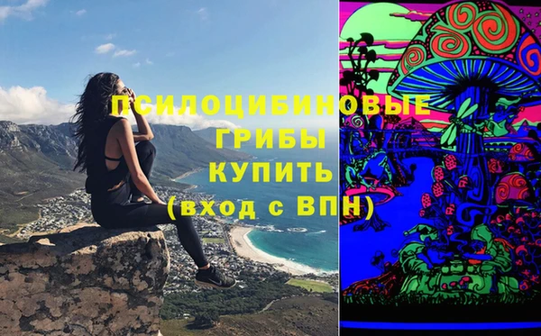 прущий лед Алексин