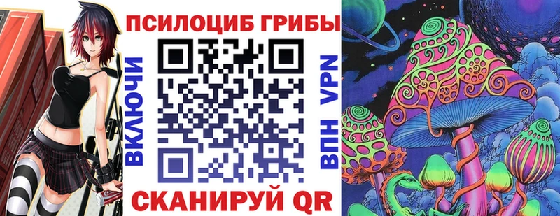 где можно купить наркотик  Микунь  Галлюциногенные грибы Cubensis 